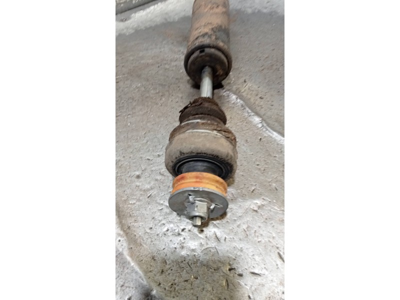 Recambio de amortiguador trasero derecho para bmw serie 3 touring (e46) 320d referencia OEM IAM 33526771725  