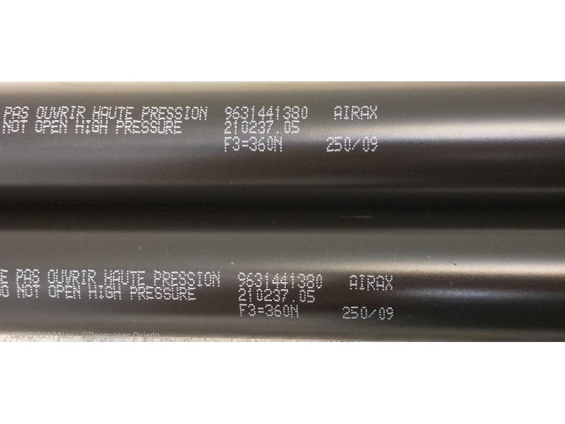 Recambio de amortiguadores maletero / porton para peugeot 206+ básico referencia OEM IAM 9631441380  