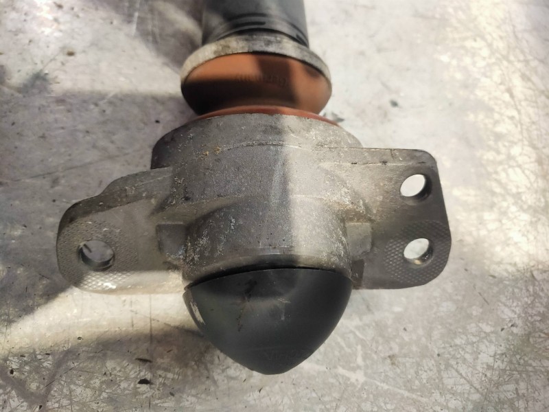 Recambio de amortiguador trasero izquierdo para audi a3 (8p) 3.2 ambition quattro referencia OEM IAM   