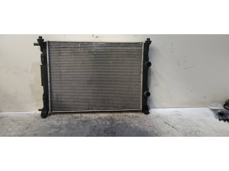 Recambio de radiador agua para renault scenic ii authentique referencia OEM IAM   