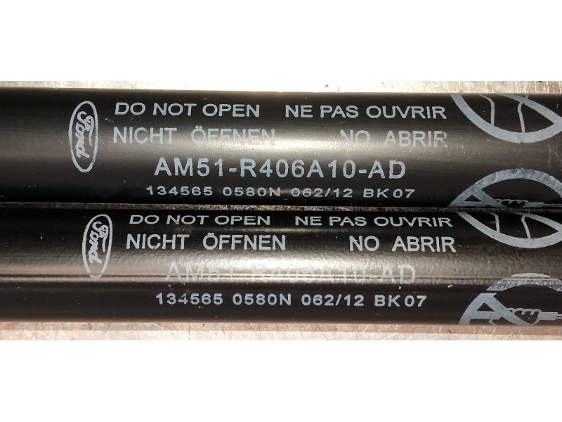 Recambio de amortiguadores maletero / porton para ford c-max trend referencia OEM IAM AM51R406A10AD  