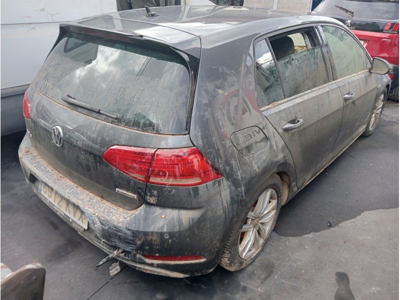 volkswagen golf vii lim. (bq1) del año 2019