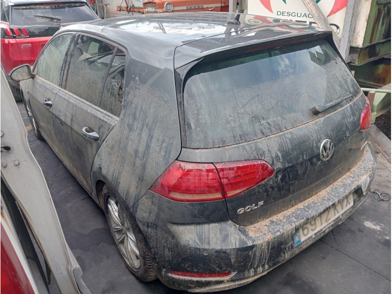 volkswagen golf vii lim. (bq1) del año 2019