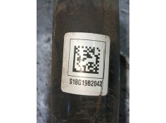 Recambio de amortiguador trasero izquierdo para hyundai i30 (pd) essence referencia OEM IAM S18G19B2042   2