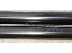 Recambio de amortiguadores capo para mini clubman (f54) one d referencia OEM IAM 51237351356   2