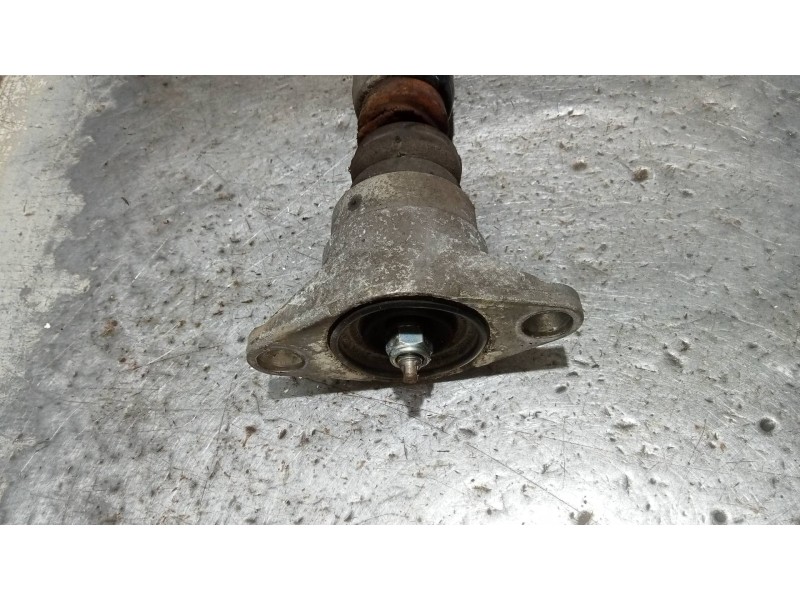 Recambio de amortiguador trasero derecho para audi a6 berlina (4f2) 2.0 tdi referencia OEM IAM   