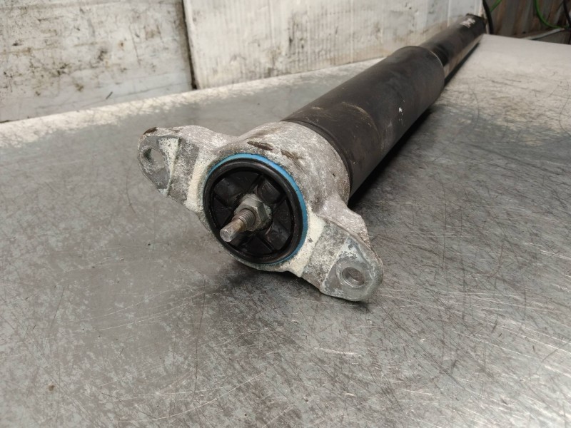 Recambio de amortiguador trasero derecho para ford focus lim. (cb8) edition referencia OEM IAM BV6118080AAG  