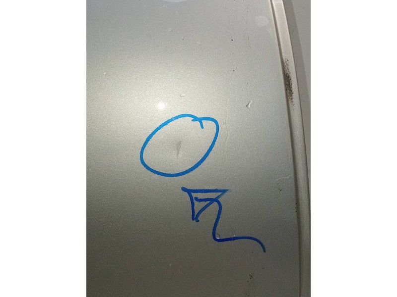 Recambio de puerta trasera derecha para mercedes clase e (w211) familiar 320 t cdi (211.226) referencia OEM IAM   5P