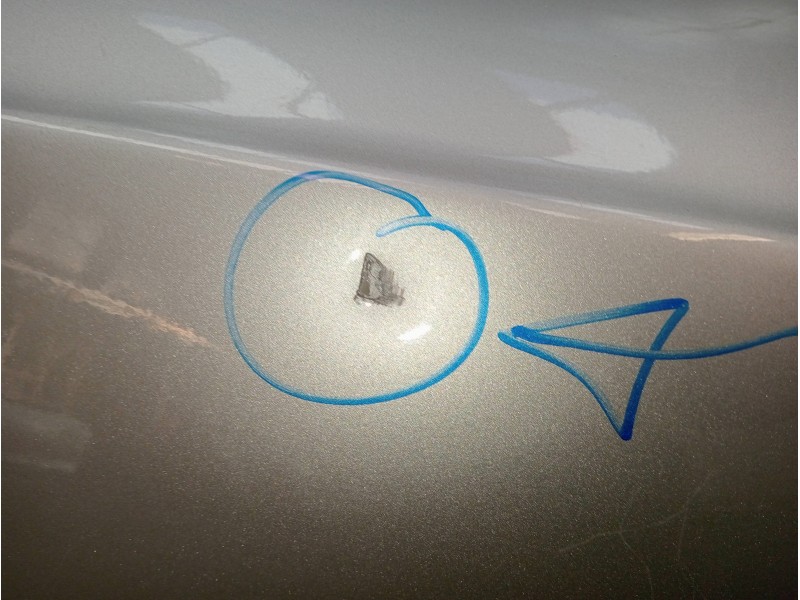 Recambio de puerta delantera izquierda para audi a5 coupe (8t) 3.0 tdi quattro referencia OEM IAM   2P