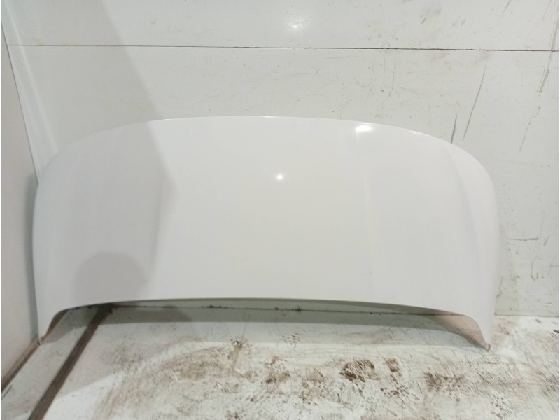 Recambio de capot para fiat doblo ii cargo (263) referencia OEM IAM   