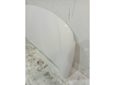 Recambio de capot para fiat doblo ii cargo (263) referencia OEM IAM    2