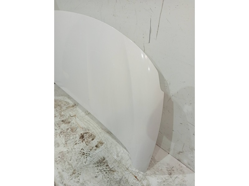 Recambio de capot para fiat doblo ii cargo (263) referencia OEM IAM   