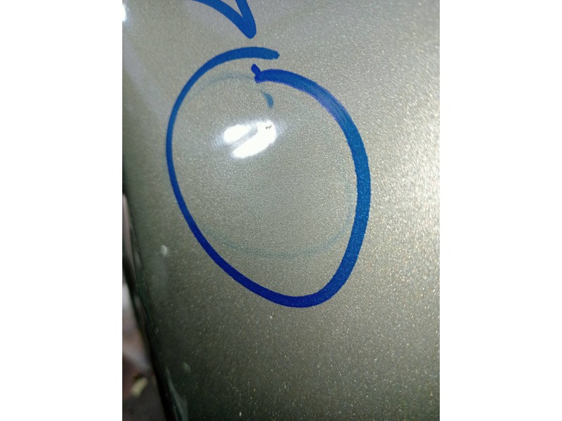 Recambio de capot para ford kuga (cbs) titanium referencia OEM IAM   