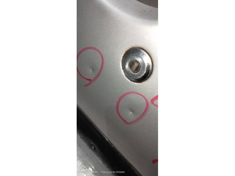 Recambio de puerta delantera izquierda para peugeot 206 berlina 2.0 hdi cat referencia OEM IAM   3P