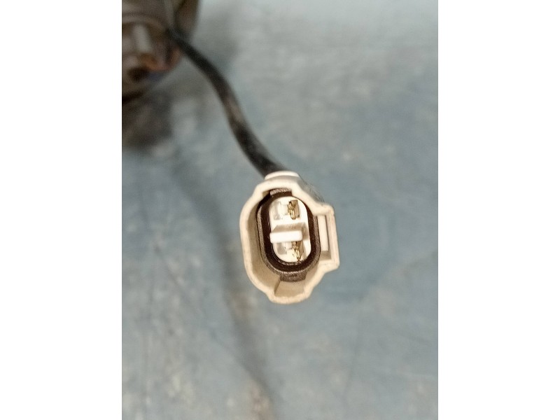 Recambio de piloto delantero izquierdo para tata safari 2.0 td referencia OEM IAM   