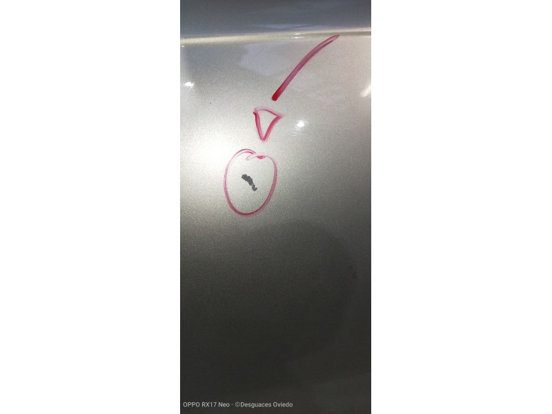 Recambio de puerta trasera derecha para audi a6 allroad quattro (4fh) referencia OEM IAM   5P