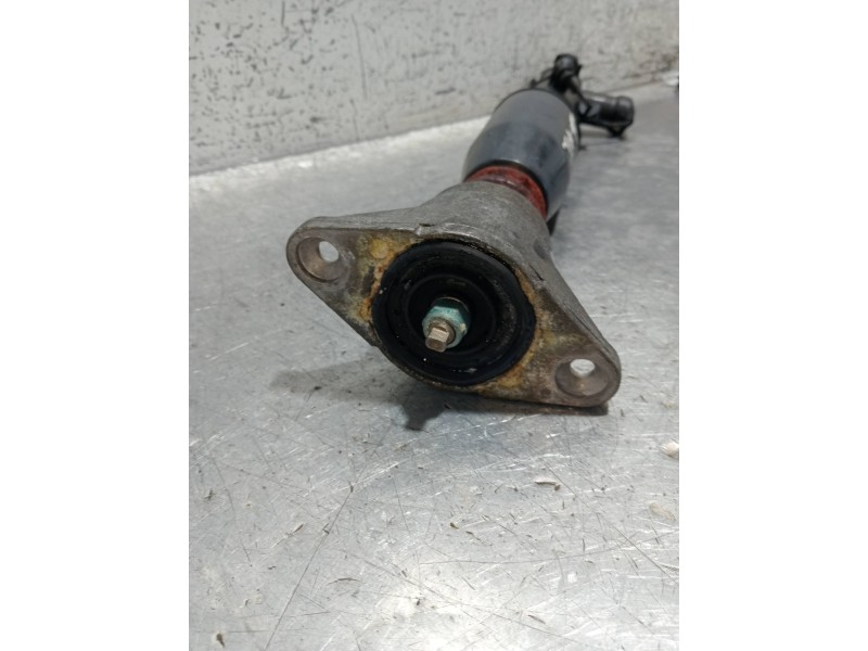 Recambio de amortiguador trasero derecho para audi a6 allroad quattro (4fh) referencia OEM IAM 4F0616032K  