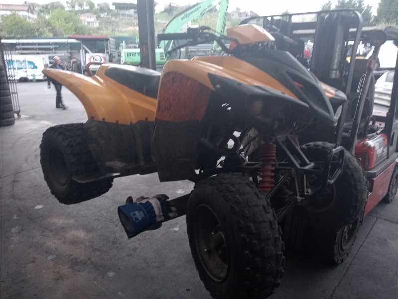 adly adly del año 2010