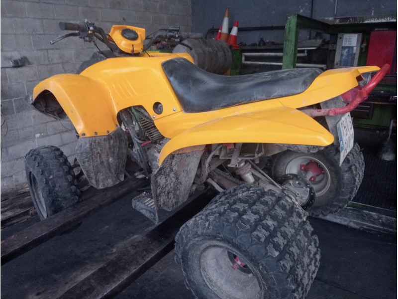 adly adly del año 2010