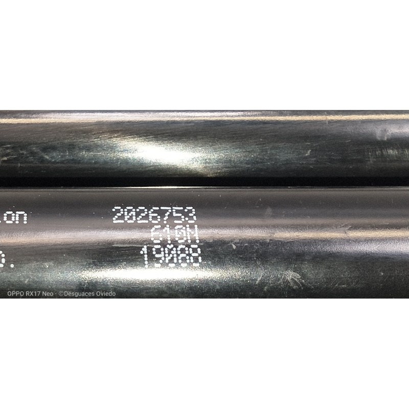 Recambio de amortiguadores maletero / porton para renault laguna iii 2.0 i referencia OEM IAM 2026753 19088 610N