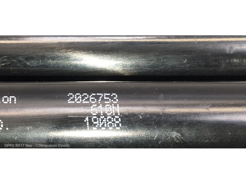 Recambio de amortiguadores maletero / porton para renault laguna iii 2.0 i referencia OEM IAM 2026753 19088 610N