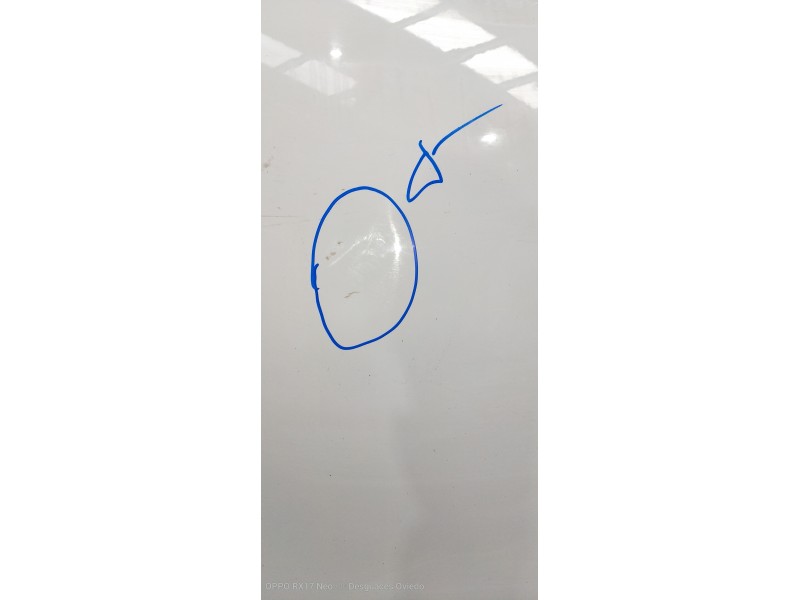 Recambio de puerta trasera izquierda para renault fluence expression referencia OEM IAM   4P