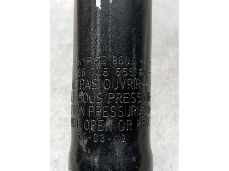Recambio de amortiguador trasero izquierdo para citroen c-elysée exclusive referencia OEM IAM 9674665580  