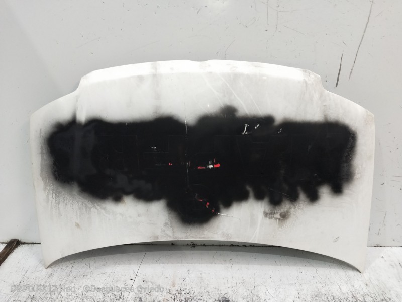 Recambio de capot para fiat panda van (i) (271) active 2 sitze referencia OEM IAM   