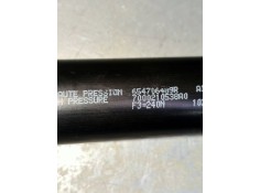 Recambio de amortiguadores capo para renault kangoo profesional referencia OEM IAM 654706489R   2