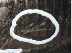 Recambio de piloto trasero izquierdo para opel corsa c club referencia OEM IAM 09114336   2