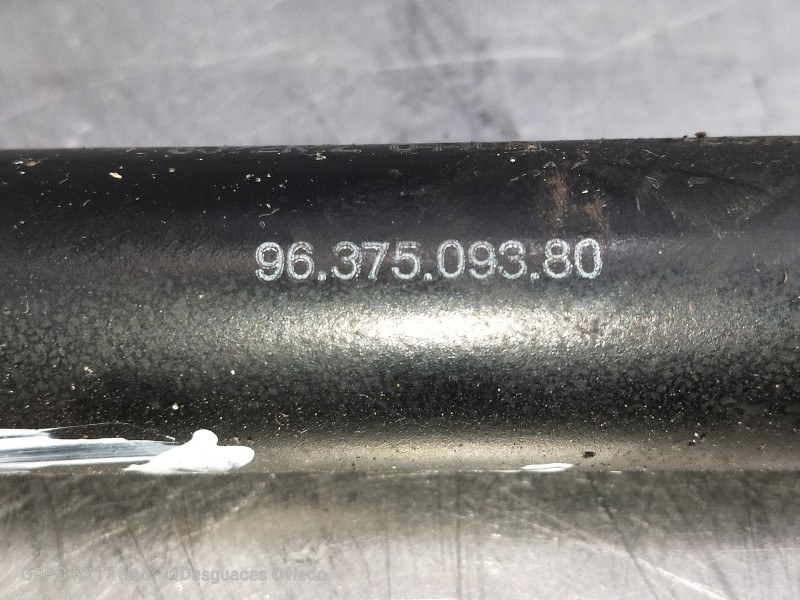 Recambio de amortiguadores capo para citroen xsara berlina 1.9 d sx referencia OEM IAM 9637509380 8072MZ 0440N