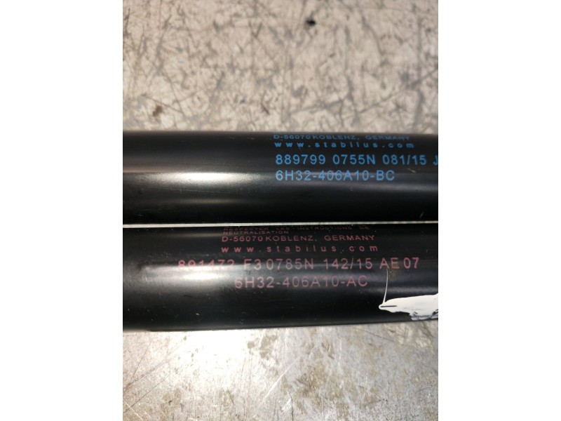 Recambio de amortiguadores maletero / porton para land rover range rover sport v6 td s referencia OEM IAM 6H32406A10BC  