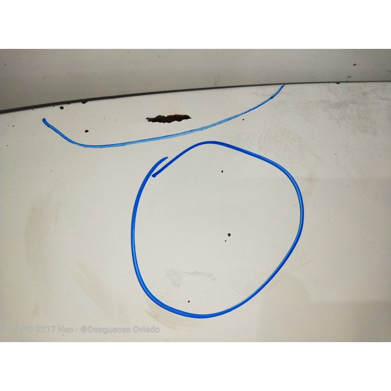 Recambio de capot para citroen berlingo 1.9 d 600 furg. referencia OEM IAM VERFOTOS OXIDO 