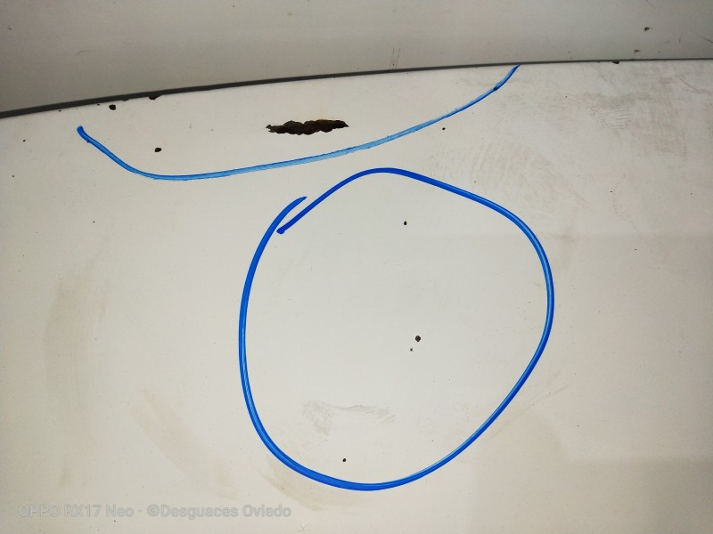 Recambio de capot para citroen berlingo 1.9 d 600 furg. referencia OEM IAM VERFOTOS OXIDO 