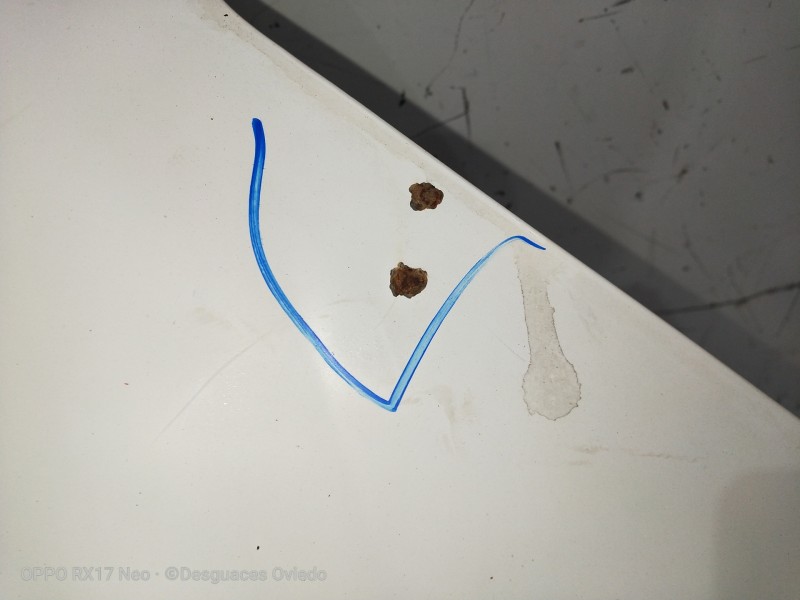 Recambio de capot para citroen berlingo 1.9 d 600 furg. referencia OEM IAM VERFOTOS OXIDO 