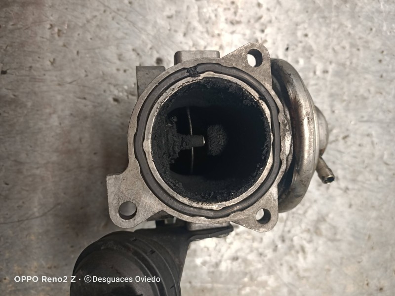 Recambio de valvula egr para seat leon (1m1) signo referencia OEM IAM 038129637  