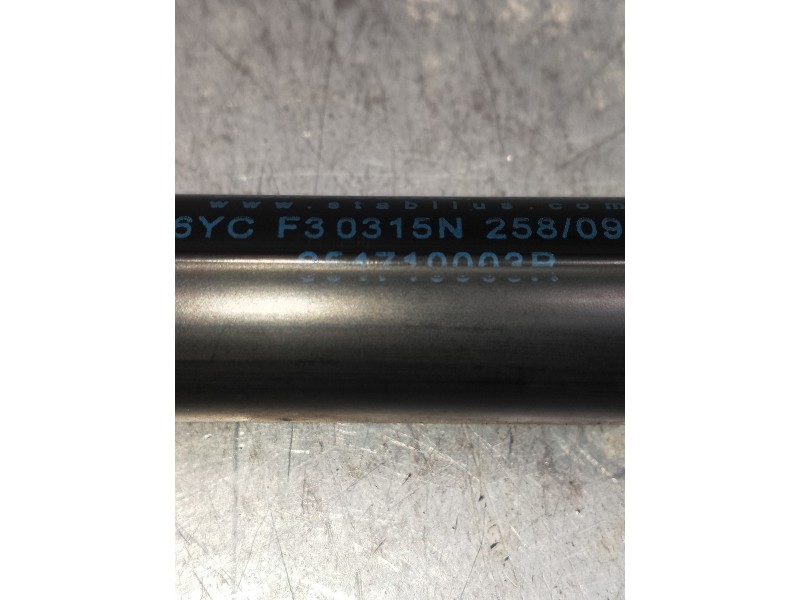 Recambio de amortiguadores capo para renault megane iii coupe dynamique referencia OEM IAM 654710003R  