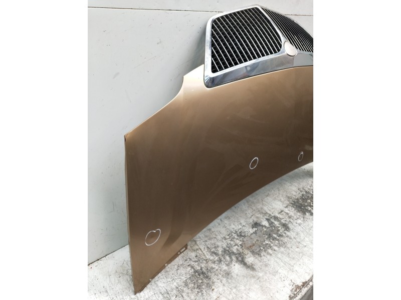 Recambio de capot para lancia phedra (180) 2.2 jtd 16v emblema referencia OEM IAM   