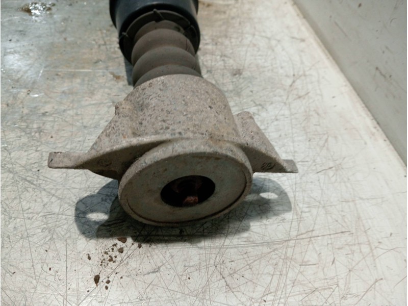 Recambio de amortiguador trasero derecho para peugeot 307 break / sw (s1) break xt referencia OEM IAM   