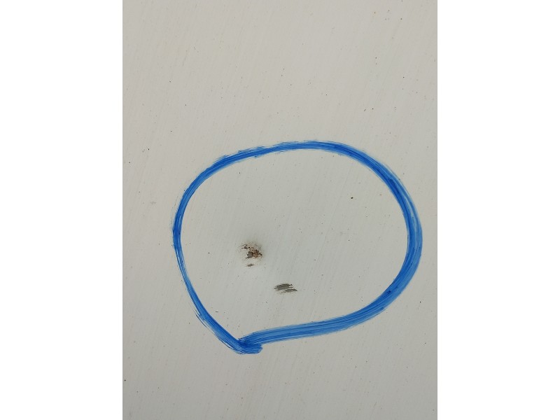 Recambio de capot para citroen zx 1.9 diesel referencia OEM IAM   