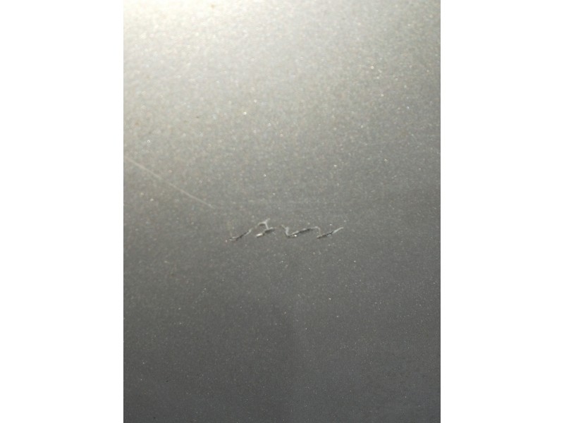 Recambio de capot para bmw serie 5 touring (e39) 530d referencia OEM IAM   