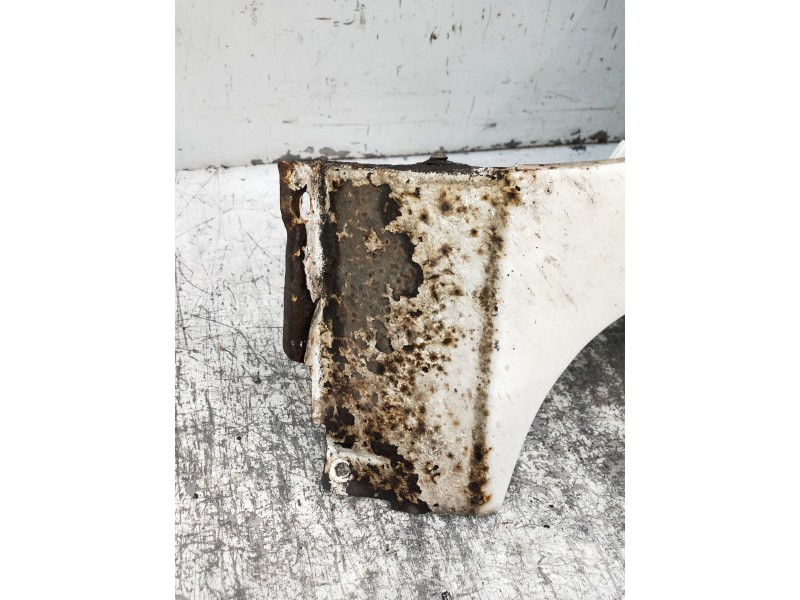 Recambio de aleta delantera izquierda para renault kangoo (f/kc0) authentique oasis referencia OEM IAM   