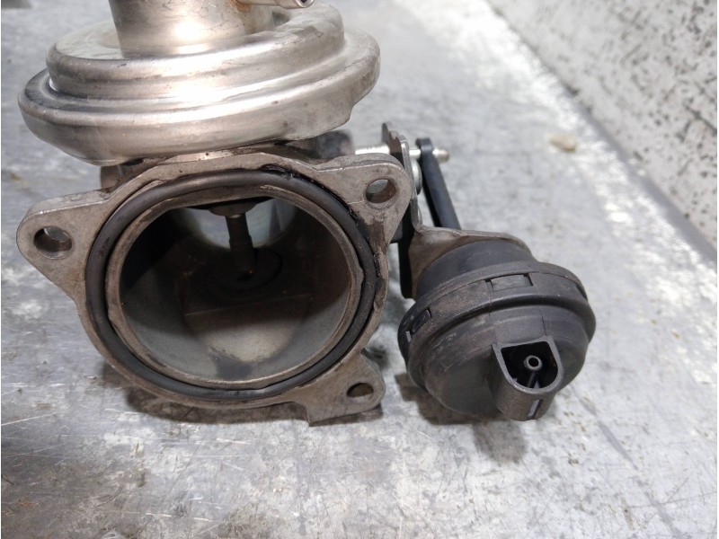 Recambio de valvula egr para seat leon (1m1) signo referencia OEM IAM   