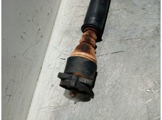 Recambio de amortiguador trasero derecho para ford focus berlina (cak) ghia referencia OEM IAM    2