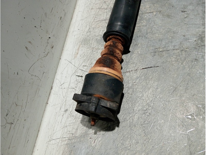 Recambio de amortiguador trasero derecho para ford focus berlina (cak) ghia referencia OEM IAM   