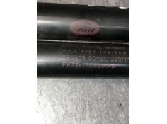 Recambio de amortiguadores capo para land rover discovery sport s referencia OEM IAM FK7216C826AB   2