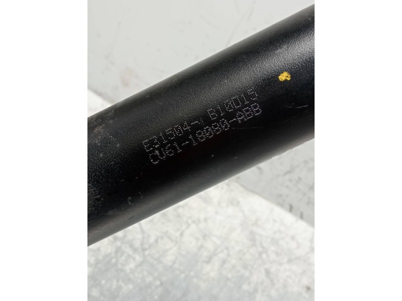 Recambio de amortiguador trasero izquierdo para ford kuga (cbs) titanium referencia OEM IAM   