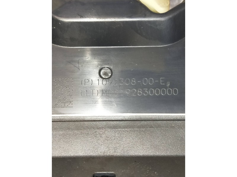 Recambio de motor cierre centralizado porton para tesla model 3 referencia OEM IAM 109230800E  4P