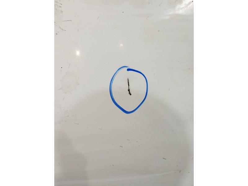 Recambio de capot para fiat grande punto (199) 1.4 16v active referencia OEM IAM   