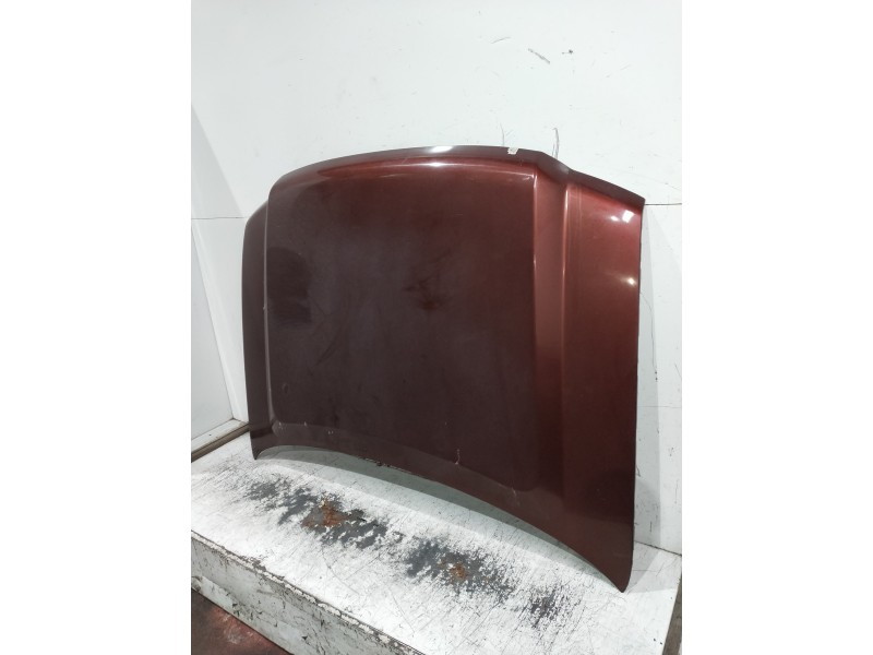 Recambio de capot para ford expedition referencia OEM IAM   